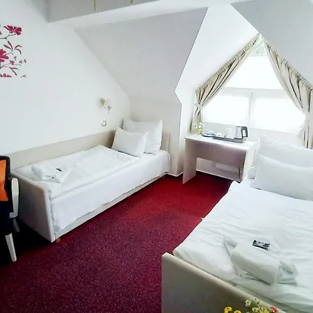 Hotel Hradec 3*