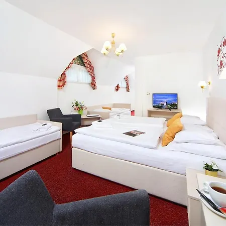 Hradec فندق 3*