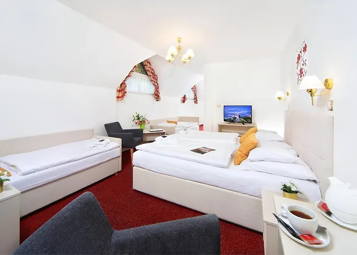 Hradec מלון 3*